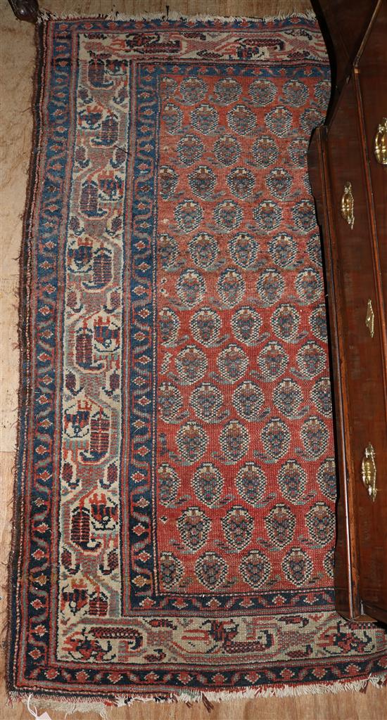 Bokhara rug